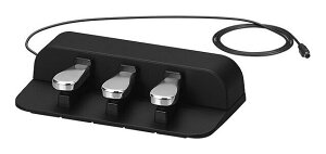 CASIO SP-34 PX-S1000/S3000p3{y_jbgyz