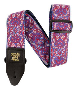 ERNIE BALL 5332 Paisley Dream WJ[hD M^[ Xgbvy[֔ESEsz