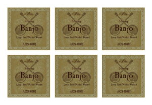 y ×6ZbgzAA ARIA AGS-100BJ [10-23] 5oW[y[֔ESEsz