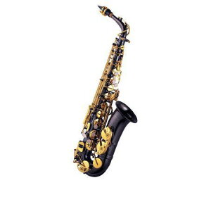 J}CP J.Michael AL-900B 9_Zbg AgTbNX (ubN)yzy|Cg12{zy[J[3NT|[gz