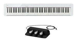CASIO PX-S1100WE(3{y_jbg/SP-34t) zCg X{fB fW^sAmyzyszy|Cg8{z