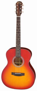 AA ARIA AF-201 CS gbvP AR[XeBbNM^[/P[Xtyzy|Cg5{z