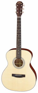 AA ARIA AF-201 N gbvP AR[XeBbNM^[/P[Xtyzy|Cg5{z