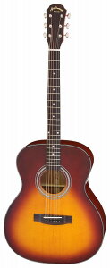 AA ARIA AF-201 TS gbvP AR[XeBbNM^[/P[Xtyzy|Cg5{z