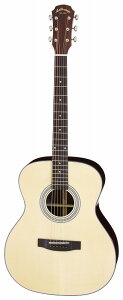 AA ARIA AF-205 N gbvP AR[XeBbNM^[/P[Xtyzy|Cg5{z