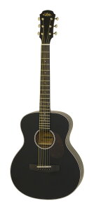 ARIA ARIA-151 MTBK (Black) ~jEAR[XeBbNM^[/P[Xtyzy|Cg5{z