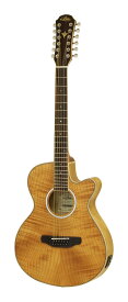 ARIA FET-DLX/12 N(Natural) ピックアップ搭載 12弦ギター エレアコ/ケース付【送料無料】