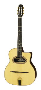 ARIA MM-100/D Natural(Gloss) }JtF X^C AR[XeBbNM^[ D-hole/n[hP[Xtyz