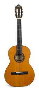 Valencia VC203 3/4 (9`11ˌ) NVbNM^[ 580mmXP[yz