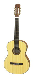 Aria A-10 �X�v���[�X�g�b�v �N���V�b�N�M�^�[/�P�[�X�t�y���������z