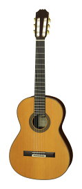 ARIA ACE-8C 640 セダー単板トップ 640mmスケール クラシックギター スペイン製/ケース付【送料無料】【ポイント10倍】
