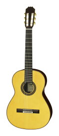 ARIA ACE-8S 640 スプルース単板トップ 640mmスケール クラシックギター スペイン製/ケース付【送料無料】【ポイント10倍】