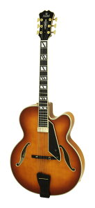 Aria ProII FA-2100 ALB(Almond Burst) tAR j[[J[X^C/n[hP[Xtyzy|Cg5{z