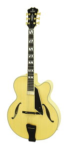Aria ProII FA-2100 N(Natural) tAR j[[J[X^C/n[hP[Xtyzy|Cg5{z