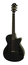 ARIA FET-F2/BnG BK(Black) エレクトリック・アコースティック ギター エレアコ/ケース付【送料無料】
