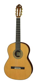ESTEVE 12 Cdr セダー単板トップ スペイン製 クラシックギター【送料無料】【ポイント5倍】