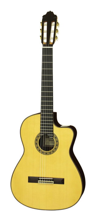 楽天市場】ESTEVE ELEC Spr スプルース単板トップ スペイン製 