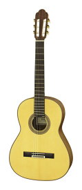 ESTEVE SEGURA Spr スプルース単板トップ スペイン製 クラシックギター【送料無料】