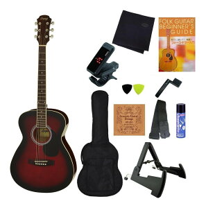 Legend FG-15/RS 11_Zbg ARIA/AAt@~[Euh/S҂ߓZbgyz