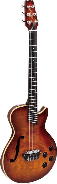 楽天市場】MD-MM Produce SE-01/F AVC ナイロン弦 エレアコ エレガット 