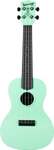 KALA KA-CWB-GN ABS fލ̗p WATERMAN RT[gENyz