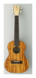 Fujigen FUS-TT-03 nCARAE{fB ei[ENyz