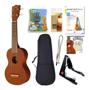 Famous FS-1G S҂芮8_Zbgyz