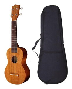 Famous FS-5G(クッション入りバッグ付)【送料無料】