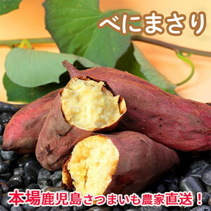 󂠂莭܂v`TCYpbN5kg