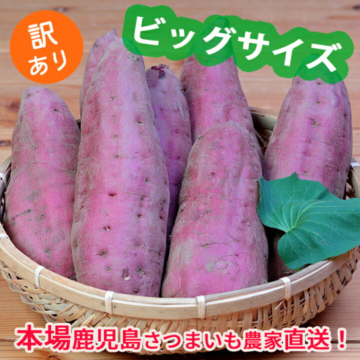 楽天市場】訳あり 鹿児島さつまいも ビッグサイズパック10kg : 桜山ファーム 楽天市場】訳あり 鹿児島さつまいも ビッグサイズパック10kg : 桜山ファーム