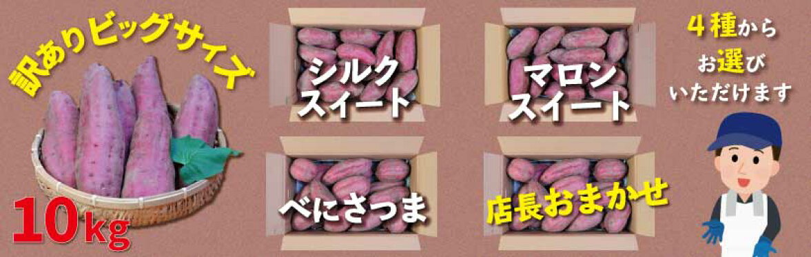 訳ありビッグサイズ