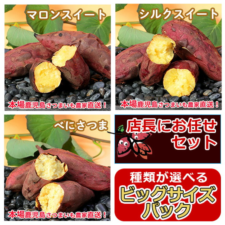 楽天市場】訳あり 鹿児島さつまいも ビッグサイズパック10kg : 桜山ファーム 楽天市場】訳あり 鹿児島さつまいも ビッグサイズパック10kg : 桜山ファーム