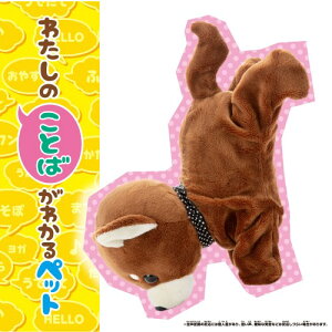 yzyyΉ{zRR Premium ` F b bV ybg ` ʂ ̎q v[g a v[g NX}X v[g ZKgC