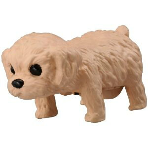 minimal Zoo ꌢ gCv[h [AvRbg]