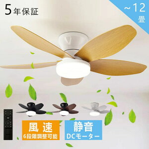 シーリングファンライト DCモーター おしゃれ LED シーリングファン ライト付き 照明 ファン付き シーリングライト ファン付き照明 木目羽 8畳10畳 12畳 遠隔操作 調光調色 空気循環 風量調節