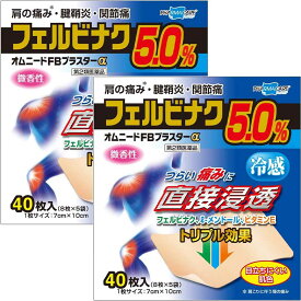 【第2類医薬品】オムニードFBプラスターα 40枚 [2個セット] ※セルフメディケーション税制対象商品