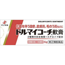 【第(2)類医薬品】ドルマイコーチ軟膏(6g)