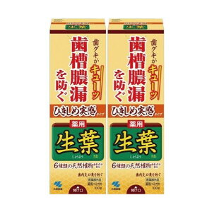 y򕔊Oizyѐzpn~KL t(傤悤) Ђߎ^Cv 100g[2{Zbg]
