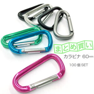 カラビナ まとめ買いの人気商品 通販 価格比較 価格 Com