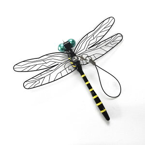 ɂ܌N Xgbv^Cv 1 JV SNSŐlC ObY 悯 Eܕsgp ܕsgp  i  nG I Au u n` tBMA ALAJl { A