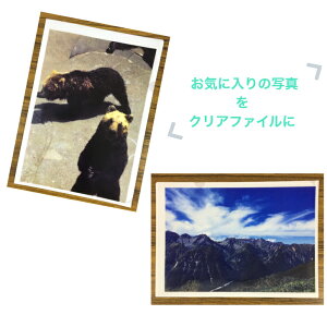 NAz_[ IWi A4TCY A5TCY 1ΉIf}h vo v[g q ybg mxeB  Cxg ʐ^ vg 