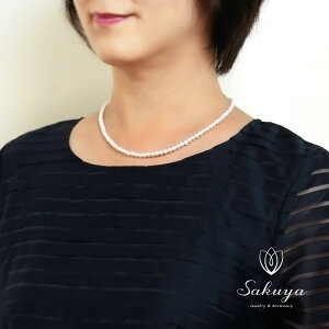 y 20%OFFN[|IIz p[ lbNX  W[uCh  EGfBO l  p[eB Zbg tH[} p[lbNX JWA v[g Mtg