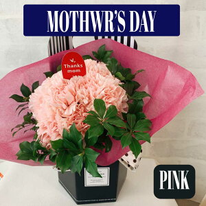 ynƋLO11%OFFN[|IIz hV̓ J[l[V  ԑ v[g 1125 v[g ԕr炸̂ȉԑ Mtg  AW  ԃsN Iׂy 킢_