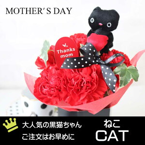 y}\N[|Iz hV̓ 1125 J[l[V v[g Mtg  AWg {bNX  ΂ ԃsN Iׂy  ˂  v[h t~S 