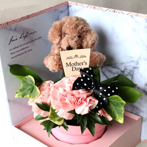 y}\N[|Iz hV̓ J[l[V 1125 t[AWg v[g Mtg    {bNX ԕrsv  sN Iׂ铮 ʂݕt 