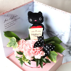 y_tf[N[|z hV̓ t[AWg 1125 J[l[V v[g Mtg v[g   ΂ Ί 킢_ {bNX sN Iׂ铮 t