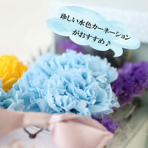 yubNtCf[ILz hV̓ J[l[V  v[g 2025 v[g Mtg   c  j  uU[uht| Mtg  AWg sN  