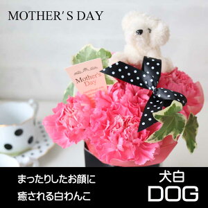 yubNtCf[Iz hV̓ 1125 J[l[V v[g Mtg  AWg {bNX  ΂ ԃsN Iׂy  ˂  v[h t~S 