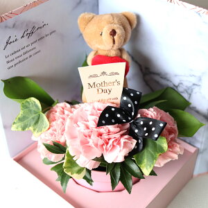 yHN[|Iz hV̓ J[l[V 1125 t[AWg v[g Mtg    {bNX ԕrsv  sN Iׂ铮 ʂݕt  L 