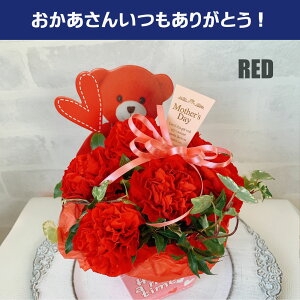 yN[|z hV̓ 1125 J[l[V v[g Mtg  AWg {bNX  ΂ ԃsN Iׂy  ˂  v[h t~S  L  